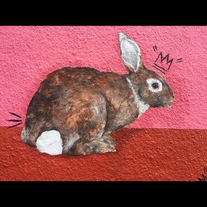 Meet your Posher, Gail